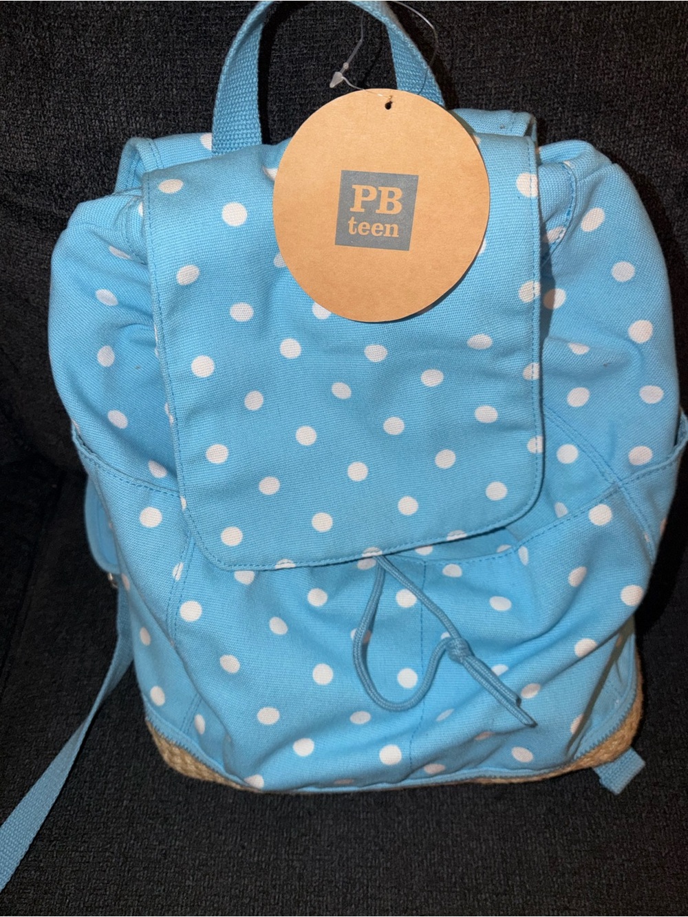 Pottery Barn Teen Light Blue Polka Dot Canvas Backpack
